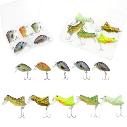 10-Piece Mini Fishing Lures Set Micro Hard Bait Crankbaits Versatile Lures for Freshwater Saltwater Trout Bass Perch with Storage Box Fishing Tackle Gift