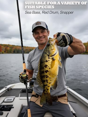 Jenseits Carbon Fiber Fishing Rod Series (6-12 Ft), Spinning & Casting Rods with Stainless Steel Ceramic Guides, Fast Action Fishing Pole for Bass, Trout, Walleye & Surf Fishing - size: 9'0"-Heavy-Fast-Black, style: Spinning