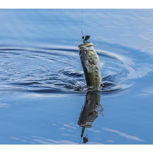 BUCKEYE LURES G-Buzz Single Bladed Buzzbait - Durable Fish-Catching Topwater Lure for Bass Fishing - color: Black w/Black, size: 3/8