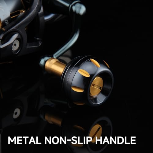 HAUT TON Dolphin Advance Edition Spinning Reel,5.2:1Gear Ratio,22LBS,5+1BB,Backlash Free Bearing,Sealed Drag System,Saltwater,Freshwater Fishing Reels - color: ES, size: 5000