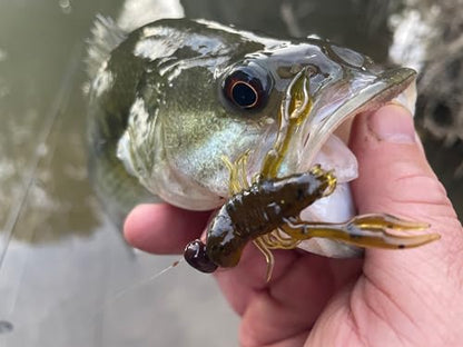 Rebel LIVEFLEX™ Creek Craw Soft Plastic - color: Ditch Craw