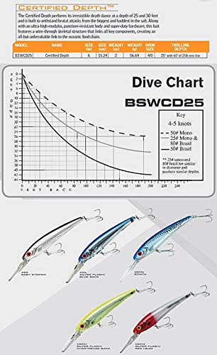 Bomber Lures Certified Depth Saltwater Grade Fishing Lure - color: Silver Flash Blue Back, size: 6-Inch