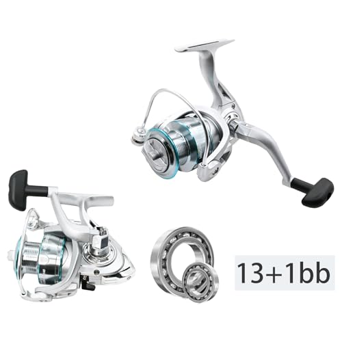 2PACK Fishing Pole Combo,Fishing Rod Combos with Telescopic Fishing Pole Spinning Reels Fishing Carrier Bag for Travel Saltwater Freshwater - color: Silvery