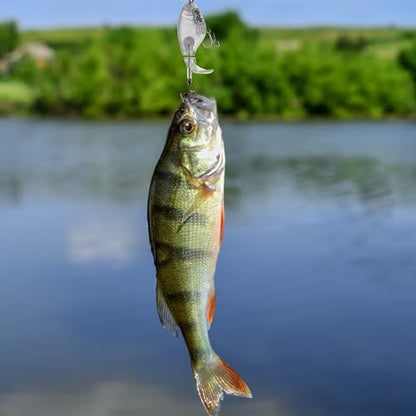10pcs/20pcs Fishing Blanks Lures Kit Fishing Topwater Unpainted Swimbait Unpainted Crankbaits Hard Baits DIY Lure for Bass Salmon Trout Saltwater and Freshwater - color: H: 10Pcs 0.53oz/15g