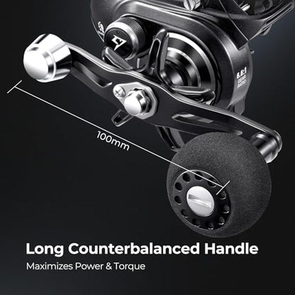 Piscifun Alinox 300 Baitcaster Fishing Reel,Aluminum Frame Baitcasting Reel, 33Lbs Max Drag, Freshwater & Saltwater Low Profile Casting Reel for Musky, Available in 6.6:1/8.1:1 Gear Ratio - color: Black-8.1:1
