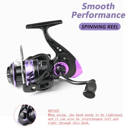 Fishing Pole Combo 2PCS Telescopic Fishing Rod and Aluminum Reel Combos with Carrier Bag Sea Saltwater Freshwater Fishing Rod Reel Kits