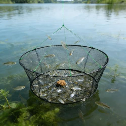 Fishing Net Trap for Bait Minnow Shrimp Crayfish Foldable Fish Crawdad Lobsters Cast Net Collapsible