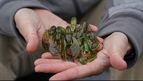 NetBait Paca Craw Soft Plastic Crawfish Lure Hollow Body Bass Fishing Plastic Bait - color: Green Pumpkin Candy, style: Paca Craw