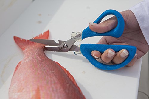 Cuda 8" Detachable Marine Shear Durable Fishing Mono, Braided Line & Fluorocarbon Cutter for Saltwater & Freshwater with Serrated Blades, Bottle Opener & Fish Scaling Edge