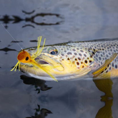 Fly Fishing Poppers, Topwater Fishing Lures Bass Crappie Bluegill Sunfish Panfish Trout Salmon Perch Steelhead Flies for Fly Fishing Bass Panfish Bluegill Trout Salmon - color: 20pcs