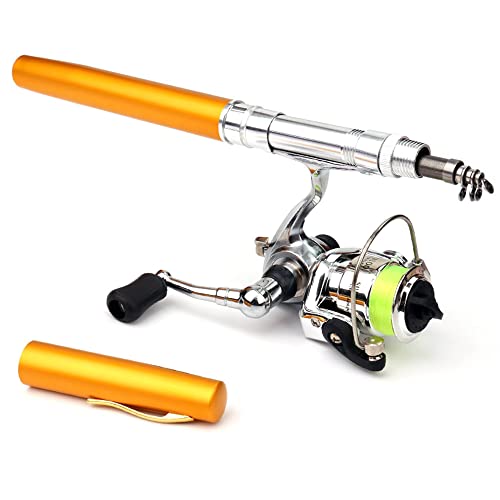 Lixada Fishing Rod Reel Combo Mini Pen Fishing Pole Kit Telescopic Fishing Rod Spinning Reel Combo Kit - color: Gold, size: 1.6 m