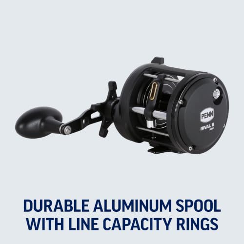 PENN Rival Level Wind Conventional Fishing Reel - size: 15 - Line Counter, style: New Model
