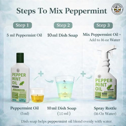 Peppermint Oil Spray -Makes 320 Fl Oz(20 Refills) -DIY Kit |Essential Oil Extract(Mentha Arvensis) Indoor & Outdoor Multi Purpose