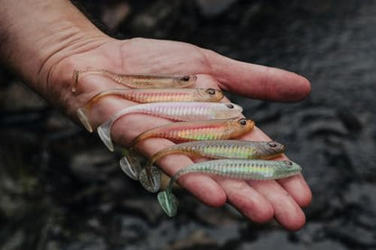Nomad Design Spectre Minnow 3.25" Internal Foil System, Soft Paddletail - (5 Pack) - Live Ops for Fresh or Saltwater Inshore Species - color: Pearl