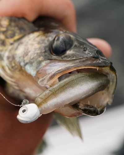 Dirty Jigs Guppy Jig Head, 1/0 Hook - USA Made, 1/8-3/8oz, 3 Count - color: Naked Shad, size: 3/16oz
