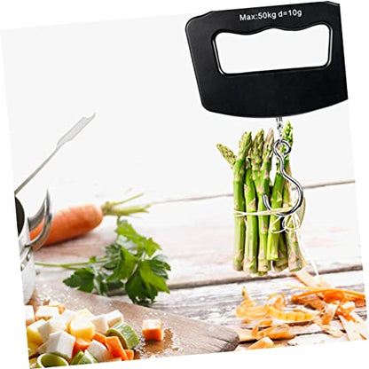 BESPORTBLE Portable 50kg Digital Scale LCD Display Waterproof Hanging Weight Scale for Fishing and Travel Handheld Food 10g Accuracy