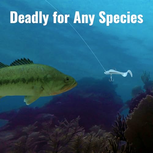 Soft Fishing Lures for Bass 6pcs Curly Tail Swimbaits Pre-Rigged Jig Head Baits with Tackle Box for Freshwater Saltwater Trout Crappie Walleye Realistic Action 3D Eyes Sharp Hooks Kit