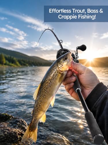 Jenseits Carbon Fiber Fishing Rod Series (6-12 Ft), Spinning & Casting Rods with Stainless Steel Ceramic Guides, Fast Action Fishing Pole for Bass, Trout, Walleye & Surf Fishing - size: 7'0"-Medium-Fast-Black, style: Casting