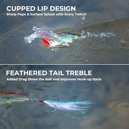 KastKing Superpower Braided Fishing Line and Lure Kit, 4X Braid Line with Hard & Soft Baits, Topwater, Jigs, Rigs&Jerkbaits, Complete Freshwater Fishing Gear Set for Bass,Trout & Walleye,Gift for Men - size: Line: 30 LB-200 Yds + Lure: Popper 1pc