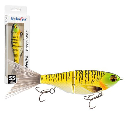 Bossa Shad Multi-Jointed Swimbait – Realistic Shad Profile with Natural Swimming Action for Bass Fishing - color: 04-Tiger Perch