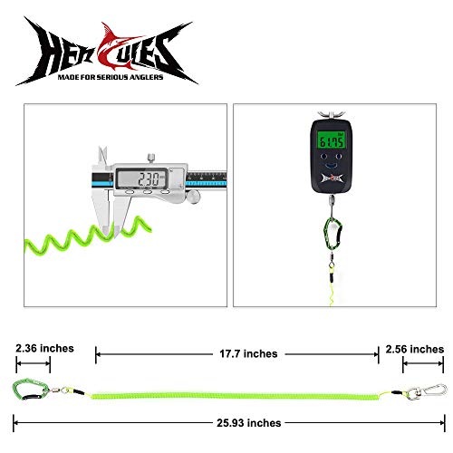 HERCULES M4 Fishing Lanyard, Fishing Pole Tether, Kayak Paddle Leash, Heavy Duty Retractable Coiled Lanyard for Fishing, Rods, Pliers, Boating, Paddles, Kayak - color: Pack of 2 Green, 17.7" Plus
