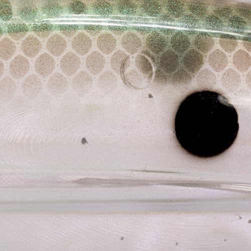 Strike King (HCWS2-568) Wake Shad Fishing Lure, Single Jointed Swimming Topwater Wakebait, 1-Ounce, Size 2 Treble Hooks, Green Gizzard Shad