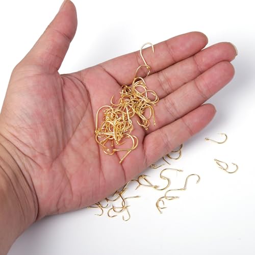 Dyxssm Small Fishing Hooks for Freshwater, 1000pcs 600pcs 400pcs Trout Fish Hook Set, 10 Sizes #2-#20 - color: Gold, style: 1000pcs (#2-#20)