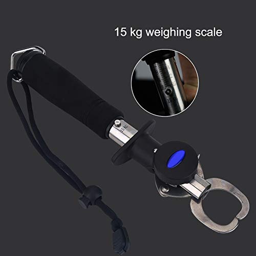 3 in 1 Fish Lip Grip Tool with Digital Scale 15kg, Fish Grabber for Freshwater Fishing, Stainless Steel EVA Foam Handle
