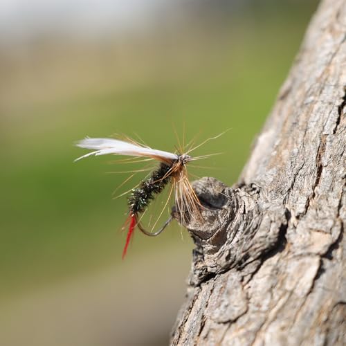 EXAURAFELIS Flying Flies kit Fishing Gear Fishing Lure 64/100/120PCS Dry Wet Flies Tackle Box Fly FishingLures for Bass Salmon Trout Freshwater Walleye Steelhead Bonefish Tarpon Saltwater - color: 100 pcs