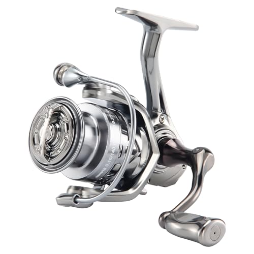 HAUT TON Dolphin Advance Edition Spinning Reel,5.2:1Gear Ratio,22LBS,5+1BB,Backlash Free Bearing,Sealed Drag System,Saltwater,Freshwater Fishing Reels - color: SWPro, size: 3000