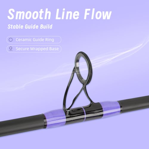 Surf Rod Saltwater 9ft- 4-Piece Carbon Fiber Surf Fishing Rods, Portable Travel Surf Spinning Rod with 20-40lb Power Green Blue - color: Purple, size: 10FT Surf Rod