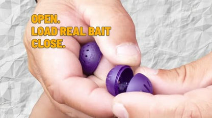 Karpela Bait Matrix Shell (Set of 4) – Protective Shell for Soft Bait & Liver – Turtle & Crawfish Resistant – Carp & Catfish Rig - color: Purple, size: Long Slot