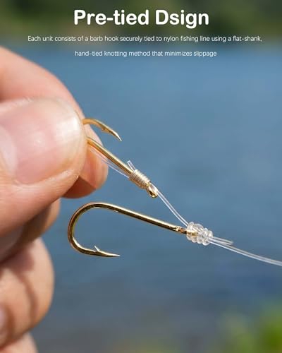 Pre-Tied Leader Hooks with Portable Plastic Board Organizer,Barb Hooks with Nylon Fishing Line (5 Packs, 10 Pieces per Pack), Sharp Double Hook Design for Carp Fishing - size: 2-6