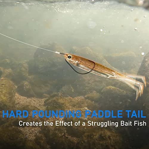 Dr.Fish Paddle Tail Swimbaits, Soft Fishing Lures for Bass Fishing 2.75-4.75 Inches, Freshwater & Saltwater Soft Plastic Baits Swim Shad Bait Minnow Lures Drop Shot - color: Coffee, size: 3.06"-6 Pack