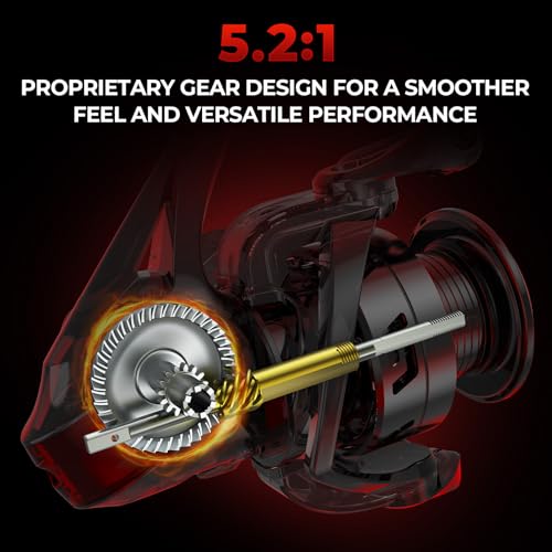 KastKing Royale Legend Fishing Reel - 5.2:1/6.2:1 Gear Ratio Spinning Reel, Up to 22 Lbs of Carbon Drag, 5+1/7+1 Stainless Steel Ball Bearings, Graphite Frame, Asymmetric Spinning Reel Rotor Design - color: Black- 5.2:1- Royale Legend II, size: 2000