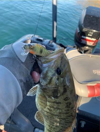 Luck E Strike STX Jerkbait, 4.5 Inch Suspending Hydrodynamic Fishing Lure, Made in The USA - color: Reel Perch