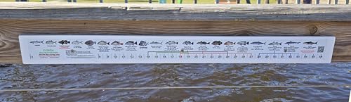 36” x 2” Vinyl Adhesive Ruler Decal Showing 20 Common Florida Saltwater Fish in True-to-Life Color Photographs and Their Current FWC Rules with Highlighted Slot Limit Brackets. UV Protected.