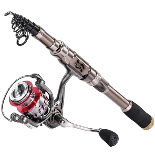 Sougayilang Fishing Rod Reel Combinations, 24 Ton Carbon Fiber, Portable Telescopic Fishing Rod Spinning Reels for Travel Saltwater Freshwater Fishing Gifts for People - color: silver, size: 2.7m/8.9ft-3000