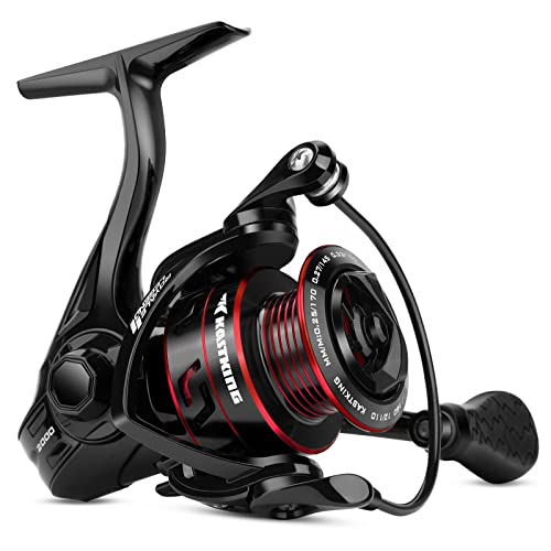 KastKing Royale Legend Fishing Reel - 5.2:1/6.2:1 Gear Ratio Spinning Reel, Up to 22 Lbs of Carbon Drag, 5+1/7+1 Stainless Steel Ball Bearings, Graphite Frame, Asymmetric Spinning Reel Rotor Design - color: Black- 5.2:1- Royale Legend II, size: 1000