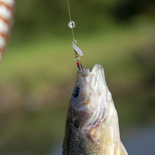 Split Shot Fishing Weights Sinkers, Fishing Split Shot Weights, Removable Split Shot Sinkers for Fishing Line, Round Dispenser Box for Bass Trout Crappie Panfish