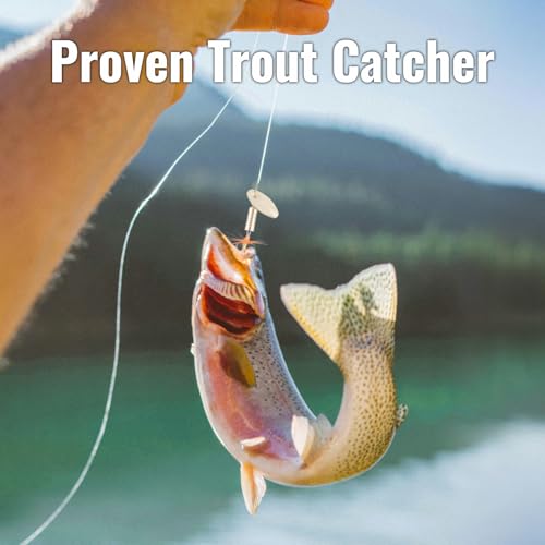 Trout Spinnerbait Lures Inline Rooster Tail Fishing Kit Brass Spinner Baits with Smooth Rotation Flash Blade for Bass Pike Crappie Saltwater Freshwater Lake River 360 Balance Hook - color: 1/32 oz