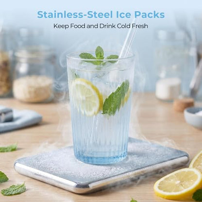 Homelove Snackle Box Container, Snack Organizer Divided Serving Tray with 2 Stainless-Steel Ice Packs, Lid with Handle, Double-layer Tray and 5-Compartment Snack Platter for Travel Party Beach Picnic - color: E