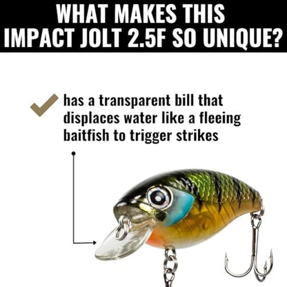 Lunkerhunt Impact Jolt | Crankbait, Deep Diving Hard Bait Fishing Lure | Flat Sided Square Bill, Clear Water, Fresh Water Lure for Bass Fishing, Trout and Spike, Crappie - color: Green Back