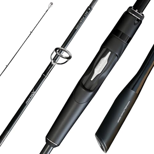 SEASIR Overcast Saltwater Fishing Rod, 2 Piece M/MH, Carbon Fiber | Freshwater Spinning Rod 6'6/7'6/8'/8'6, 36T Carbon Fiber, Fuji O, Bass Catfish Trout Rod - style: S762/2.29m-medium