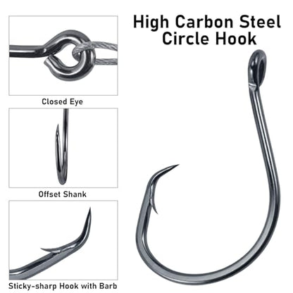 Dr.Fish 30 Pack Circle Hooks Rigs 12" Stainless Steel Wire Leader with 1/0-10/0 Snelled Octopus Hook Saltwater Leader Line Freshwater - size: 2/0-30 Pack