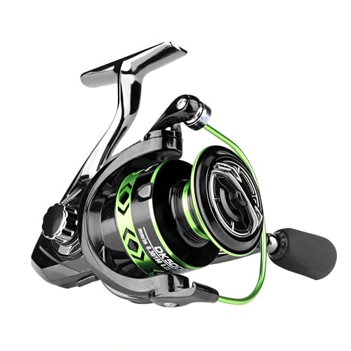 Spinning Fishing Reel – Metal Spool, Long Cast Deep Spool Reel, Smooth Drag System, Metal + Nylon Body Lure Reel for Bass Trout Carp, Freshwater & Saltwater Spinning Reel - size: 3000