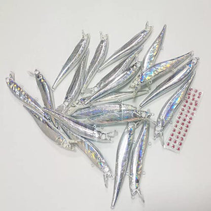 Blank Hard Lures Kit Unpainted Fishing Baits Sets Crankbait Wobblers Freshwater Fish Lure Wobblers Minnow Lure Bodies Fishing Tackle - color: 20pcs 11CM/13G