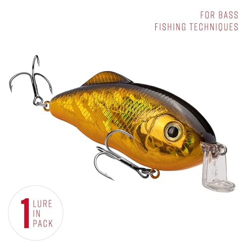 Strike King Hybrid Hunter Shallow Jr. Fishing Lure, Shallow Diving Crankbait, 90-Degree Bill, 3D Eyes, Loud Rattle, Dives 1 to 3-Feet,Size 4 & 6 Treble Hooks - color: Gold/Black Back, size: 1/2 oz