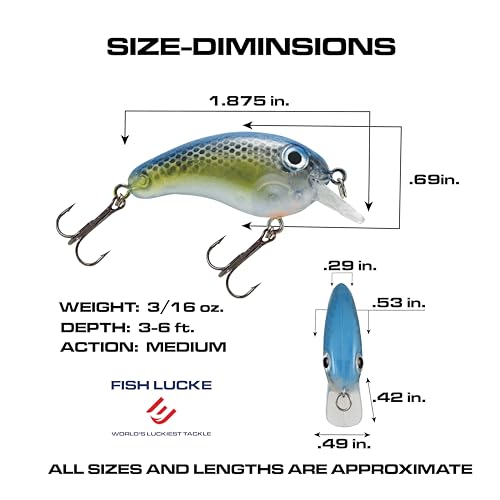 Crappie Magic Crankbait (2 Inch Crappie Lure) Made in the USA - color: Blue Back Shad