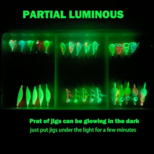 Ice Fishing Jigs Kit Luminous Ice Fishing Lures Soft Plastic Baits Crappie Jig Heads Ice Fishing Gear for Crappie Panfish Walleye Ice Fishing 70pcs
